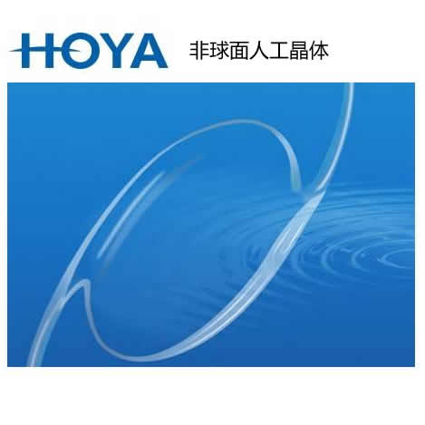 HOYA11.jpg